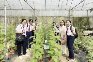 Rộng cửa kiếm việc làm