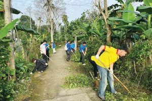 Sinh viên với “Ngày Chủ nhật xanh”